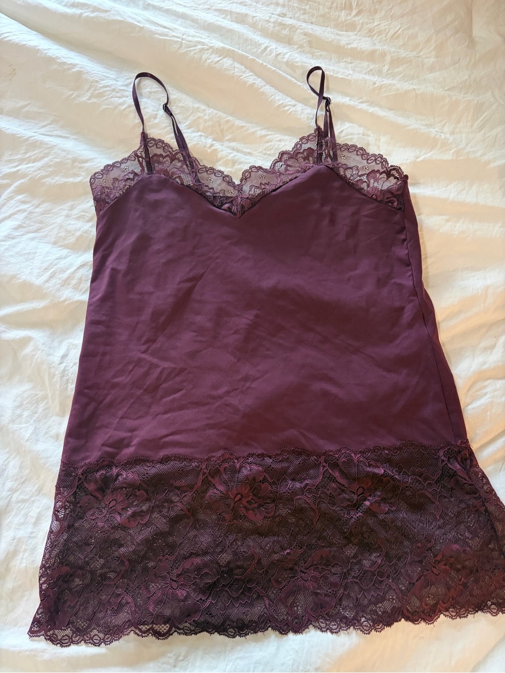 White House Black Market Plum Lace-Trim Tank Slip